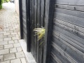 Achtertuin-Kortenhoef-1