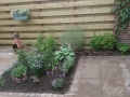 Prunuslaan aanplanting2