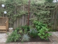Prunuslaan aanplanting3