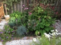 Prunuslaan aanplanting4